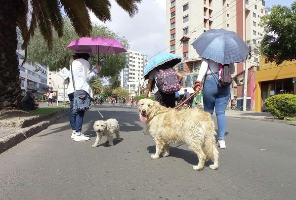 En Santa Cruz de la Sierra, la ciudad más grande del país, se mueven a diario cerca de 500 mil autos. Según un estudio realizado entre 2015 y 2016 sobre la Huella de Carbono en la ciudad, el 42% de las emisiones de Gases de Efecto Invernadero provienen del parque automotor, un 23% de la operación del relleno sanitario y un 16% de la actividad industrial, según una publicación de Energy Press. - Sputnik Mundo