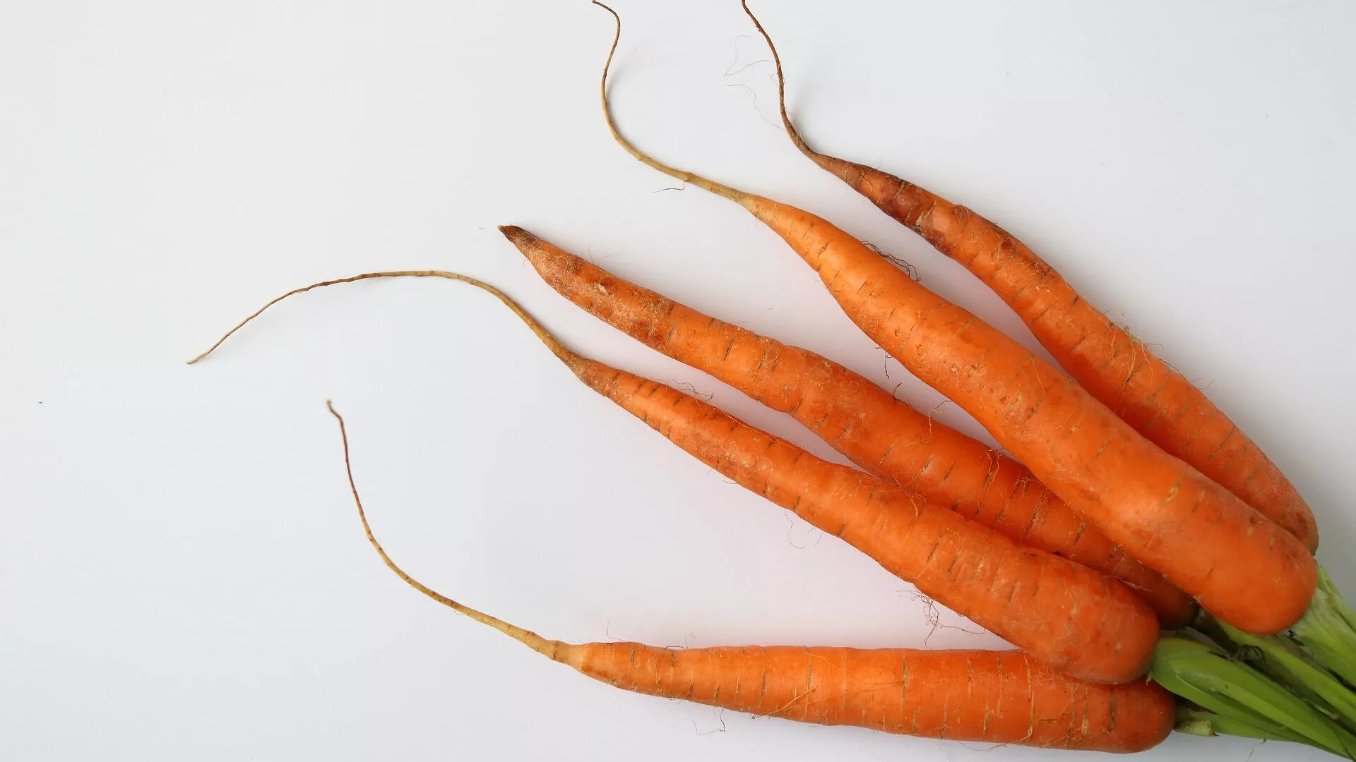 Zanahorias Zanahorias - Sputnik Mundo, 1920, 06.09.2021