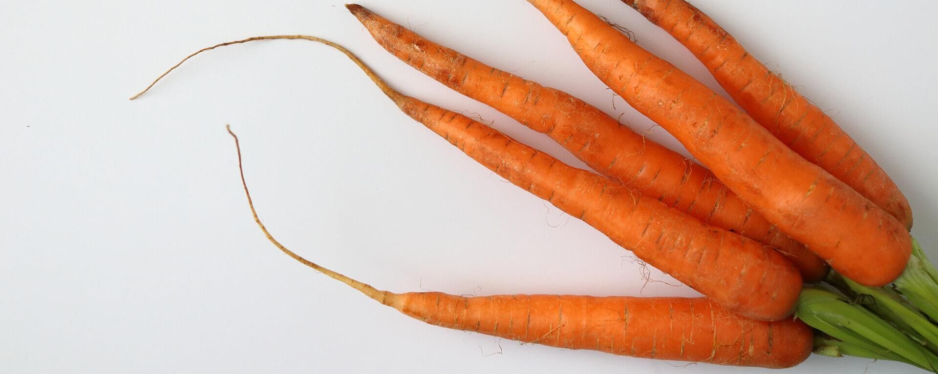 Zanahorias Zanahorias - Sputnik Mundo, 1920, 06.09.2021