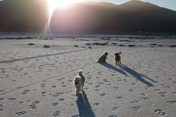 Sequía del lago Poopó, en Oruro, Bolivia - Sputnik Mundo