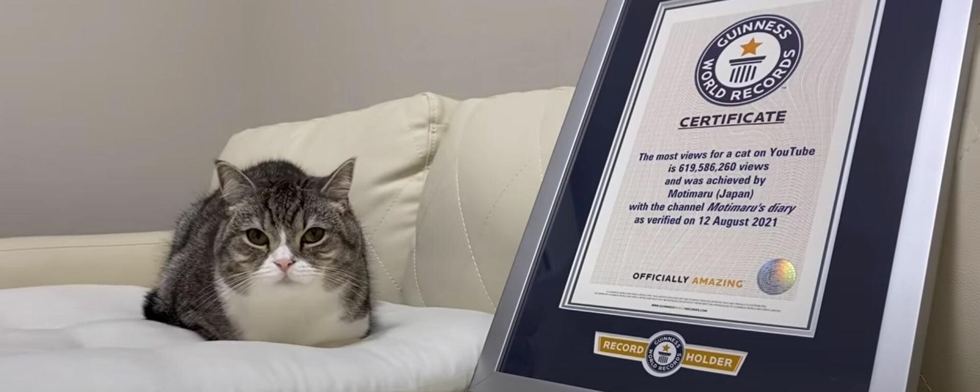 【祝】もち様がギネス世界記録™に認定されました。 - Sputnik Mundo, 1920, 08.09.2021