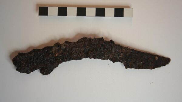 Cuchillo afalcatado encontrado en el yacimiento - Sputnik Mundo