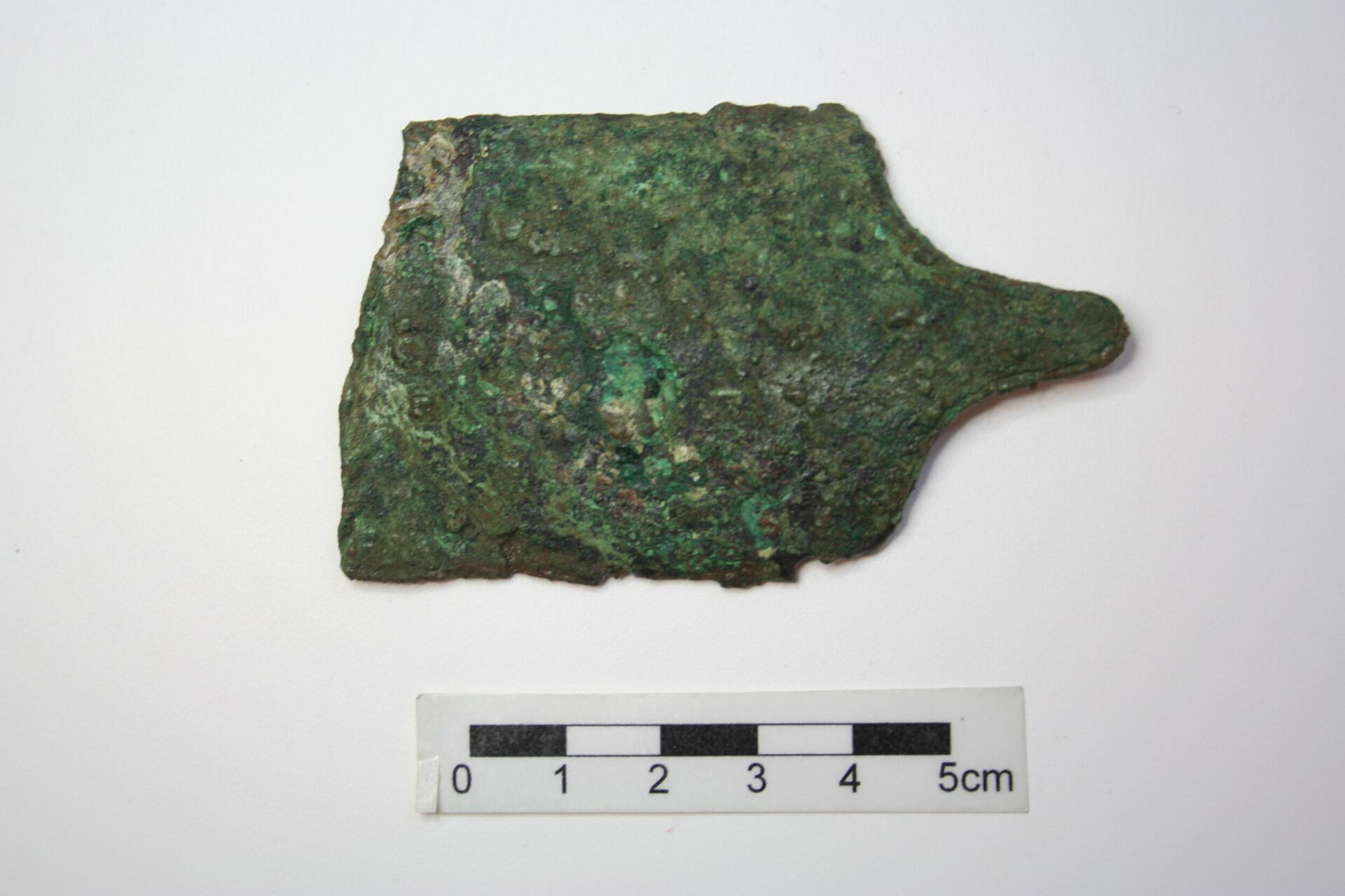 Fragmento de placa de bronce correspondiente a una vaina de espada tipo La Tène - Sputnik Mundo, 1920, 09.09.2021