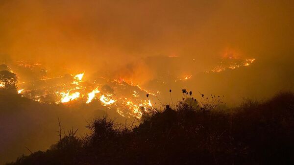 Incendio en Sierra Bermeja, Málaga, en septiembre de 2021 - Sputnik Mundo