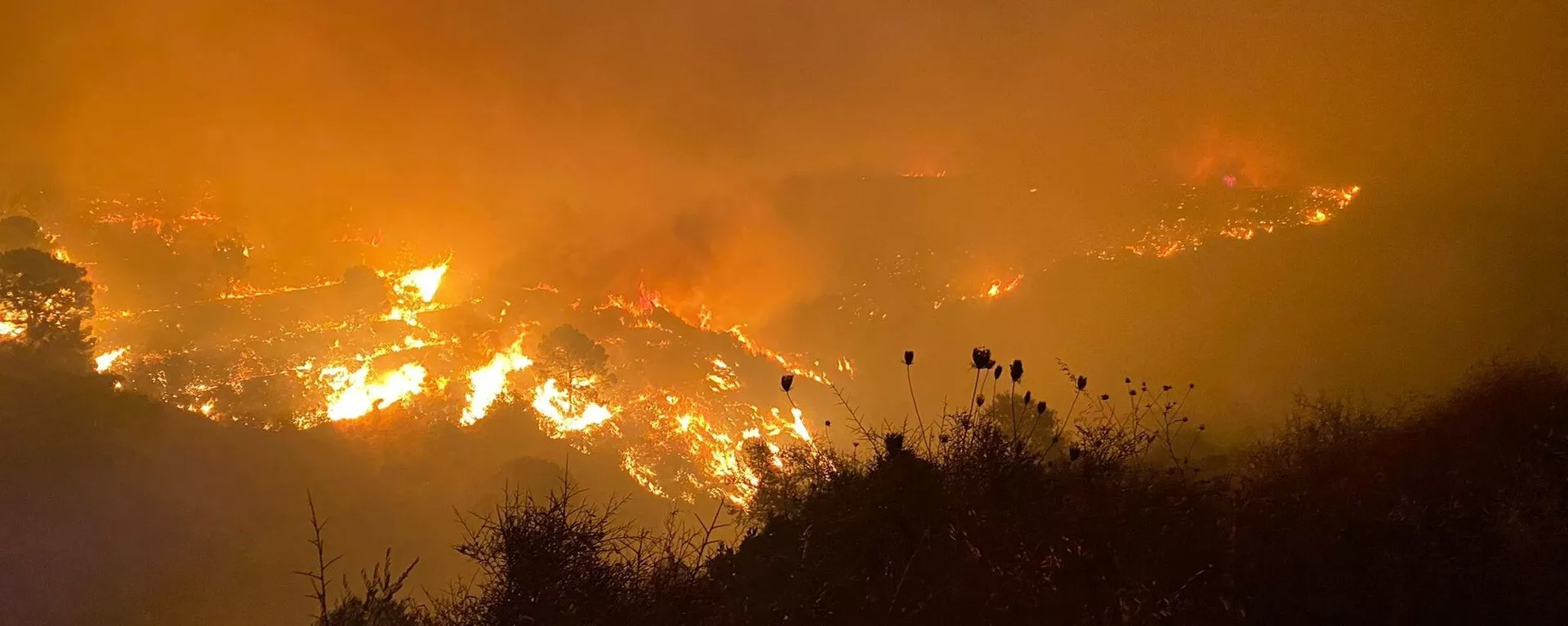 Incendio en Sierra Bermeja, Málaga, en septiembre de 2021 Incendio en Sierra Bermeja, Málaga, en septiembre de 2021 - Sputnik Mundo, 1920, 09.09.2021