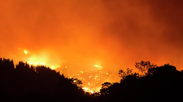 Incendio de Sierra Bermeja (Málaga) - Sputnik Mundo