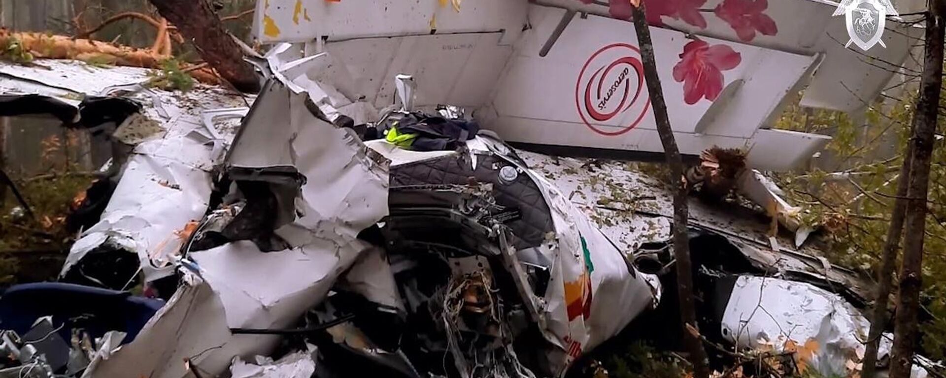 El aterrizaje forzoso del avión bimotor L-410 que volaba desde la ciudad rusa de Irkutsk al pueblo de Kazachinskoye, el 12 de septiembre de 2021 - Sputnik Mundo, 1920, 13.09.2021