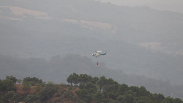 Incendio en Sierra Bermeja - Sputnik Mundo