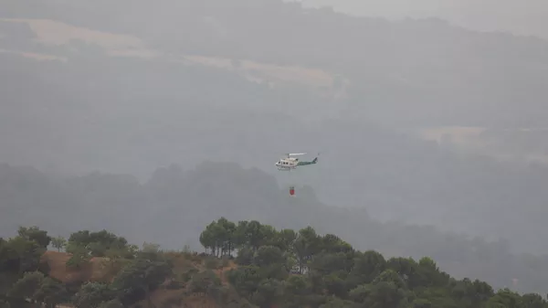 Incendio en Sierra Bermeja - Sputnik Mundo