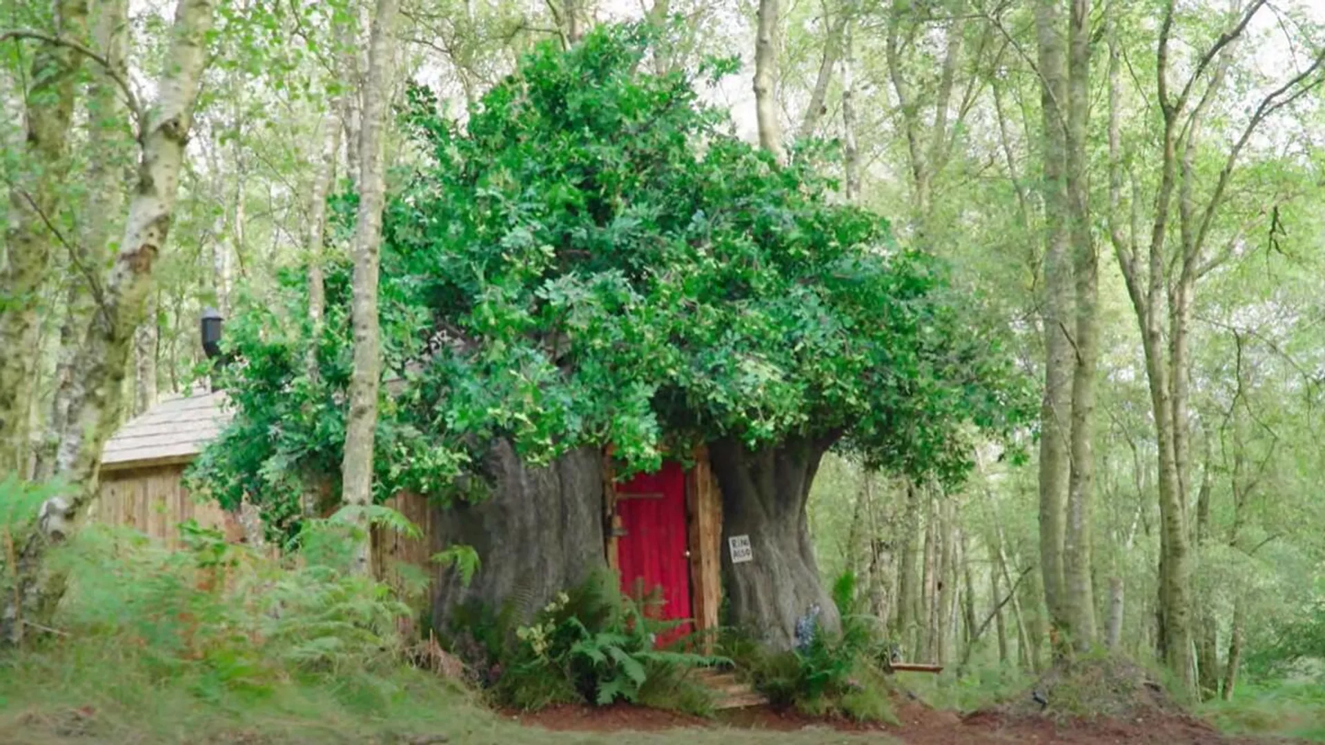 La casa de Winnie the Pooh