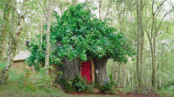 La casa de Winnie the Pooh - Sputnik Mundo