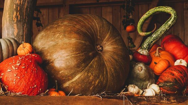 Imagen referencial de una calabaza gigante - Sputnik Mundo