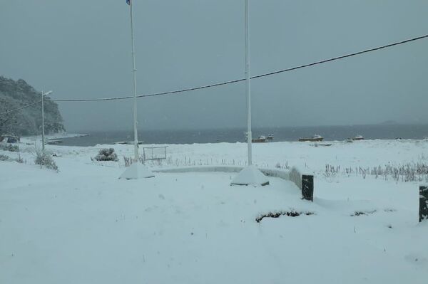 Puerto Almanza, en el extremo sur de Tierra del Fuego - Sputnik Mundo