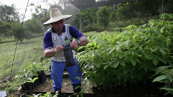 Reintegración de los excombatientes de las antiguas FARC en Colombia - Sputnik Mundo