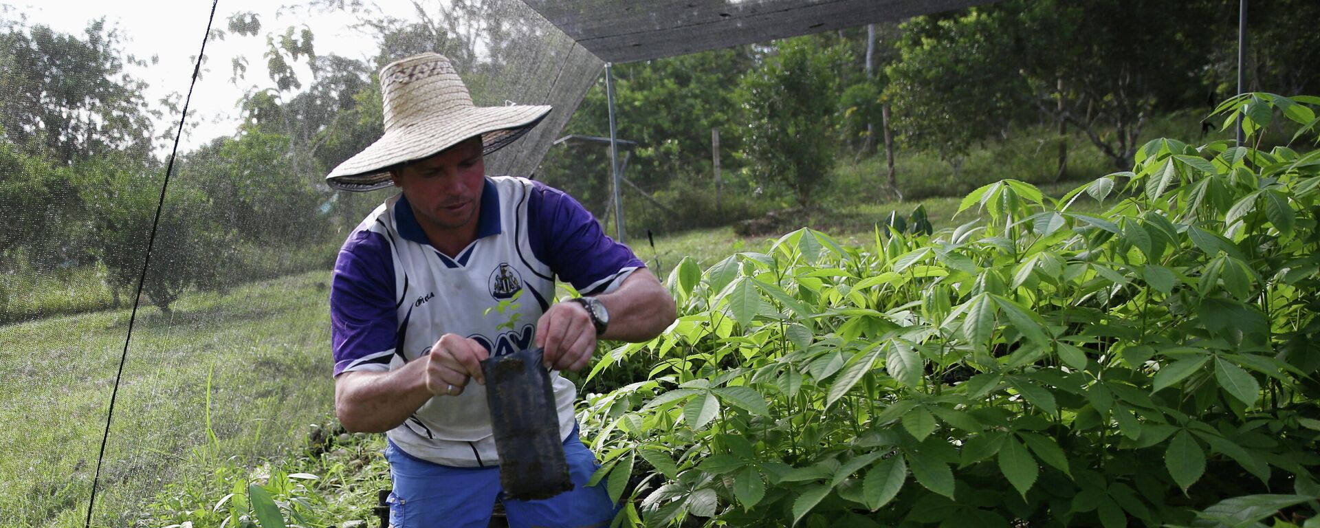 Reintegración de los excombatientes de las antiguas FARC en Colombia - Sputnik Mundo, 1920, 17.09.2021