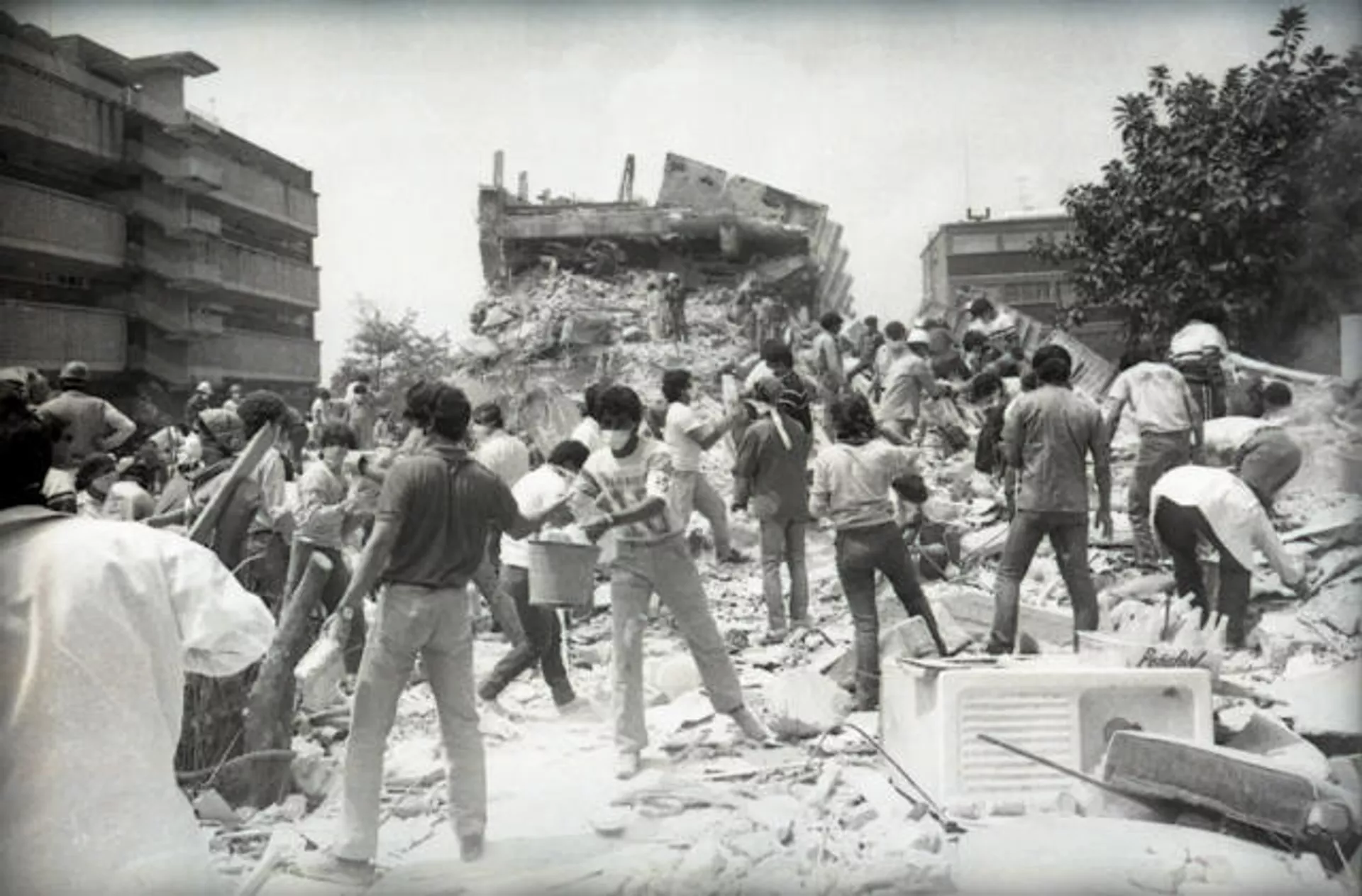 El terremoto del 85 afectó, sobre todo, la zona centro de la CDMX El terremoto del 85 afectó, sobre todo, la zona centro de la CDMX - Sputnik Mundo, 1920, 18.09.2021
