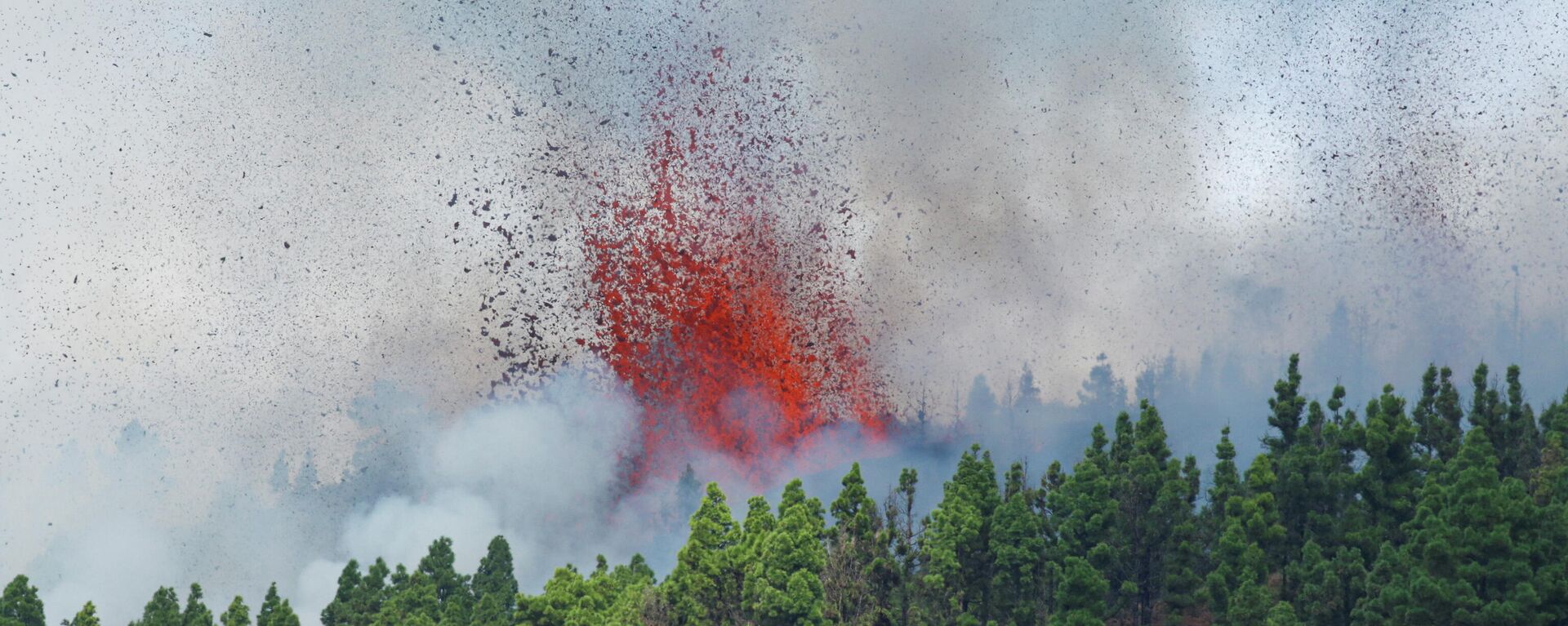 El volcán entra en erupción en la isla española de La Palma, España, 19 de septiembre de 2021 El volcán entra en erupción en la isla española de La Palma, España, 19 de septiembre de 2021 - Sputnik Mundo, 1920, 19.09.2021