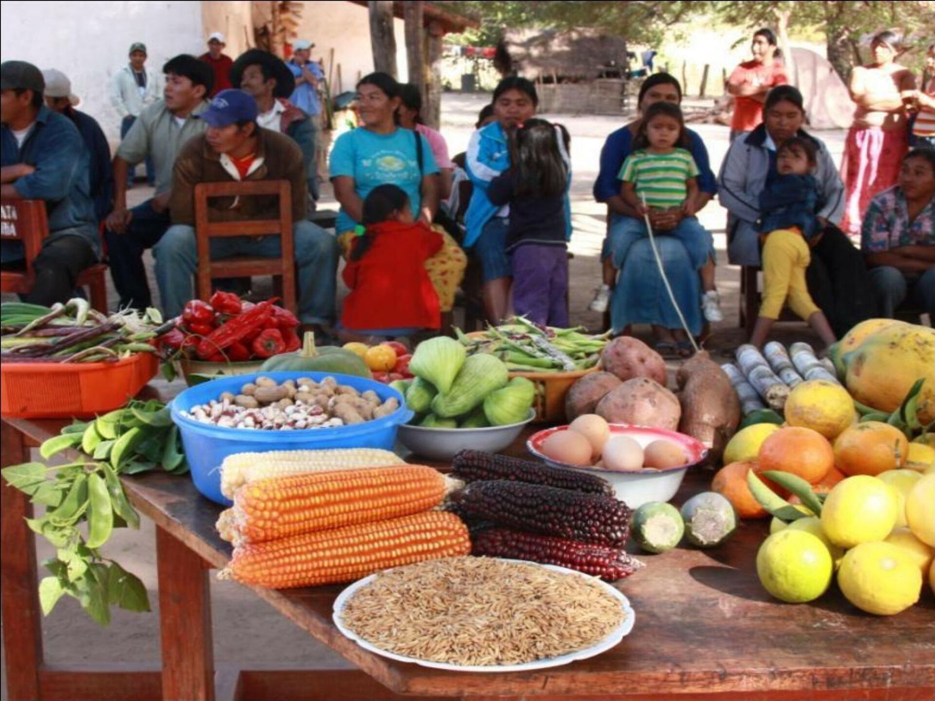 Agricultura familiar campesina en Bolivia - Sputnik Mundo, 1920, 24.09.2021