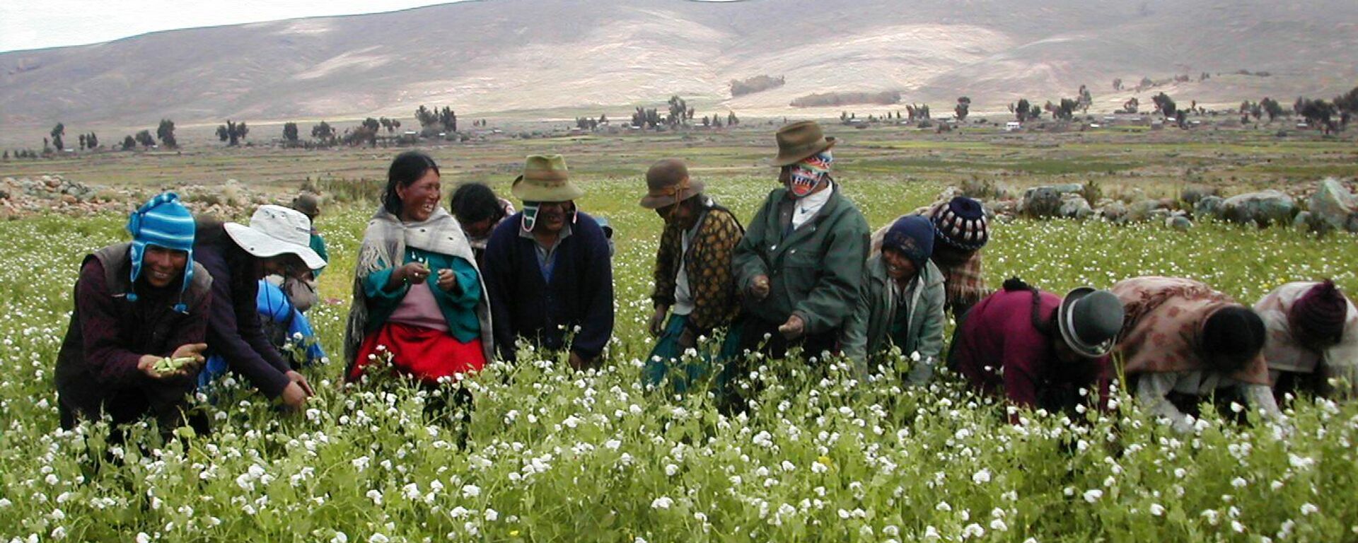 Agricultura familiar campesina en Bolivia - Sputnik Mundo, 1920, 19.10.2023