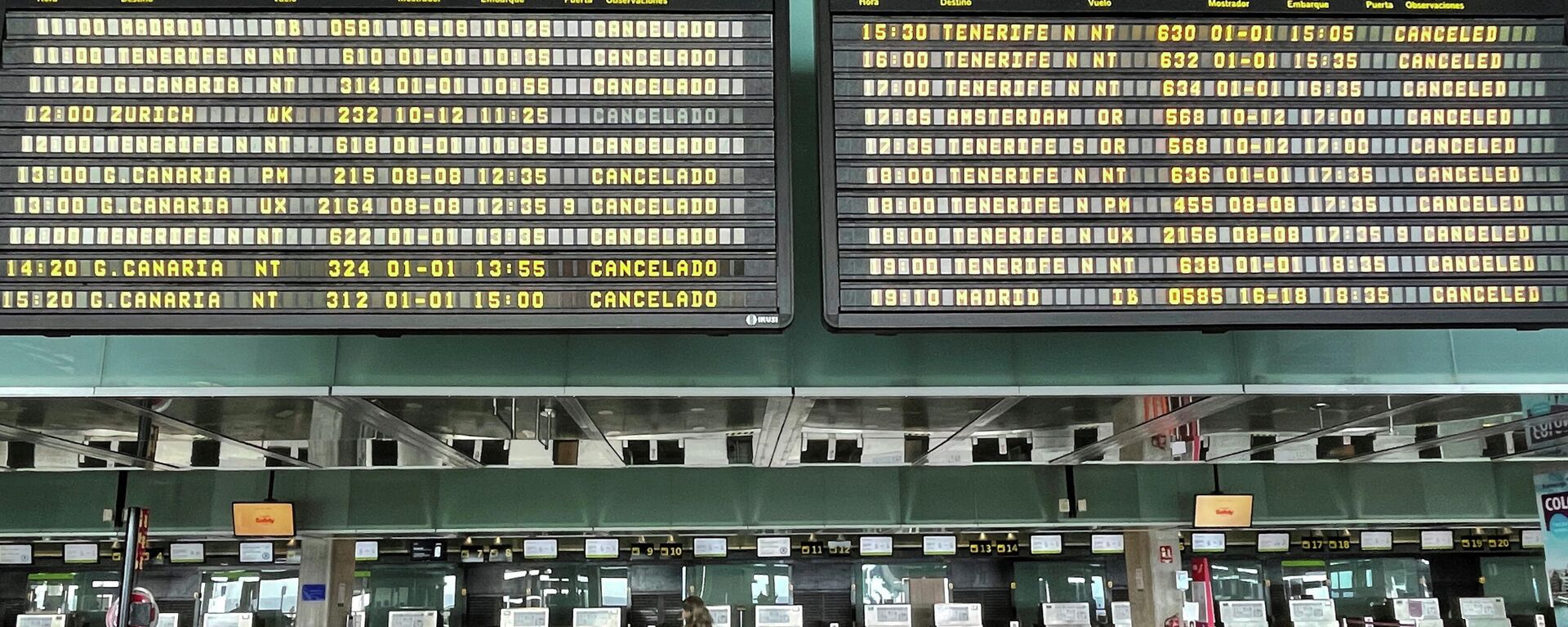 Un pasajero en el aeropuerto de La Palma Un pasajero en el aeropuerto de La Palma - Sputnik Mundo, 1920, 26.09.2021