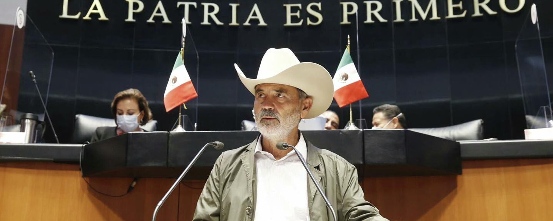 Gustavo Madero, senador del PAN - Sputnik Mundo, 1920, 27.09.2021