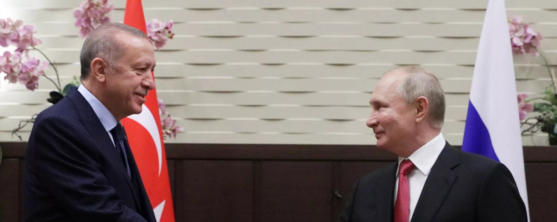 El presidente turco, Recep Tayyip Erdogan, y el presidente de Rusia, Vladímir Putin - Sputnik Mundo, 1920, 30.06.2022
