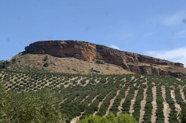 Entorno del nuevo hallazgo de 5000 años de antigüedad - Sputnik Mundo