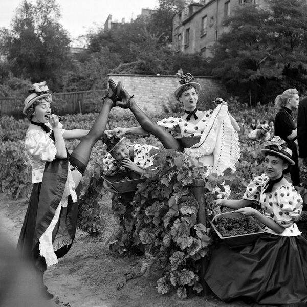 Unas bailarinas del Moulin Rouge en un viñedo de Montmartre, en 1953. - Sputnik Mundo