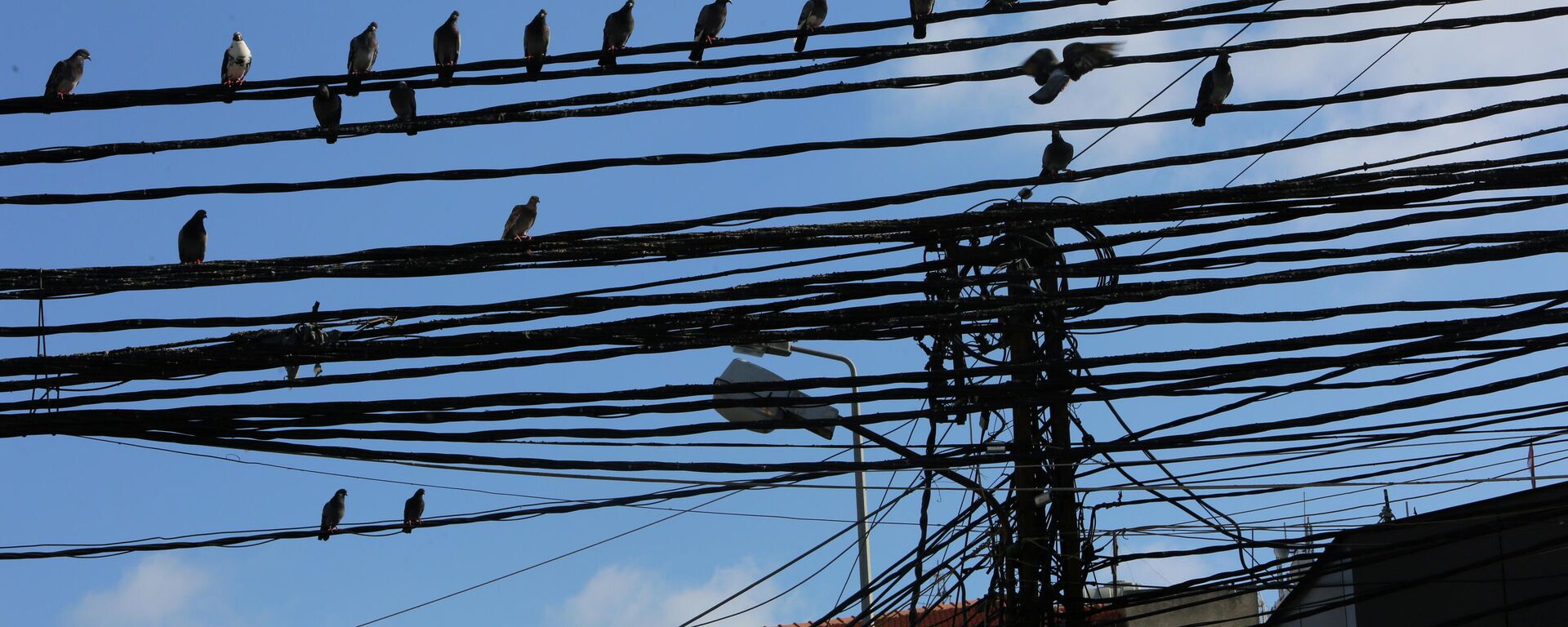 Cables eléctricos en el Líbano - Sputnik Mundo, 1920, 10.10.2021
