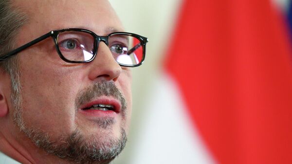 Alexander van der Bellen, el nuevo canciller de Austria (archivo) - Sputnik Mundo