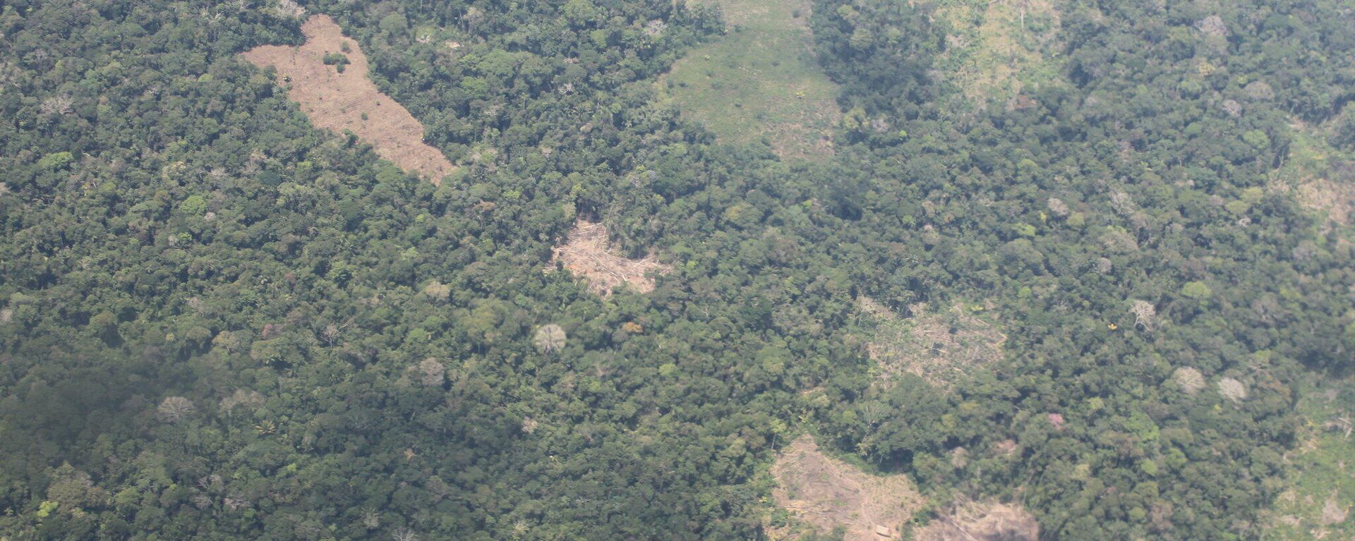 Deforestación en Loreto, Perú - Sputnik Mundo, 1920, 11.10.2021