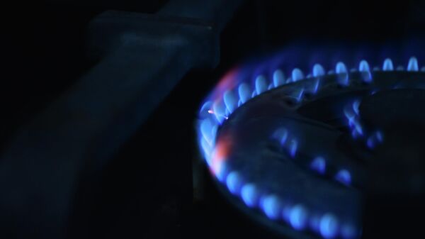 Estufa de gas LP - Sputnik Mundo