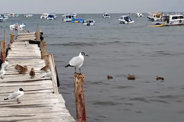 La isla del Sol en el lago Titicaca, Bolivia - Sputnik Mundo