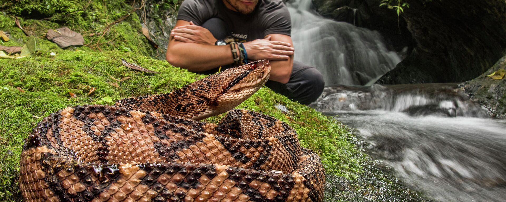 Jaime Culebras junto a una serpiente - Sputnik Mundo, 1920, 16.10.2021