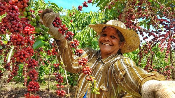 Mujer rural de América Latina - Sputnik Mundo