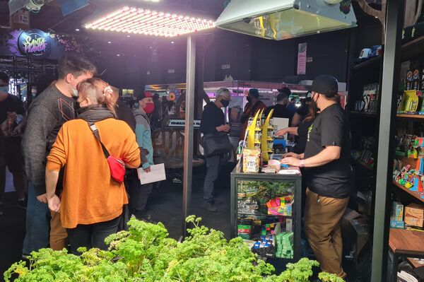 Segunda edición de Expo Cannabis, feria dedicada al cannabis medicinal e industrial - Sputnik Mundo