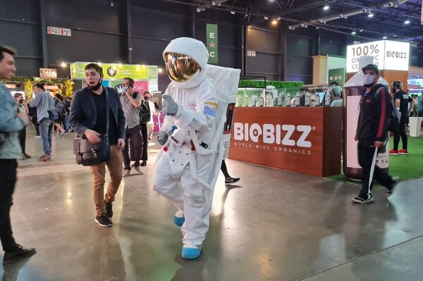Segunda edición de Expo Cannabis, feria dedicada al cannabis medicinal e industrial - Sputnik Mundo