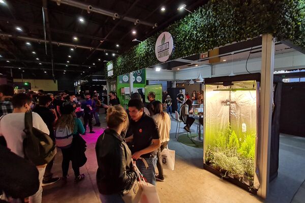 Segunda edición de Expo Cannabis, feria dedicada al cannabis medicinal e industrial - Sputnik Mundo