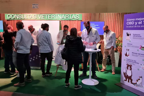 Segunda edición de Expo Cannabis, feria dedicada al cannabis medicinal e industrial - Sputnik Mundo
