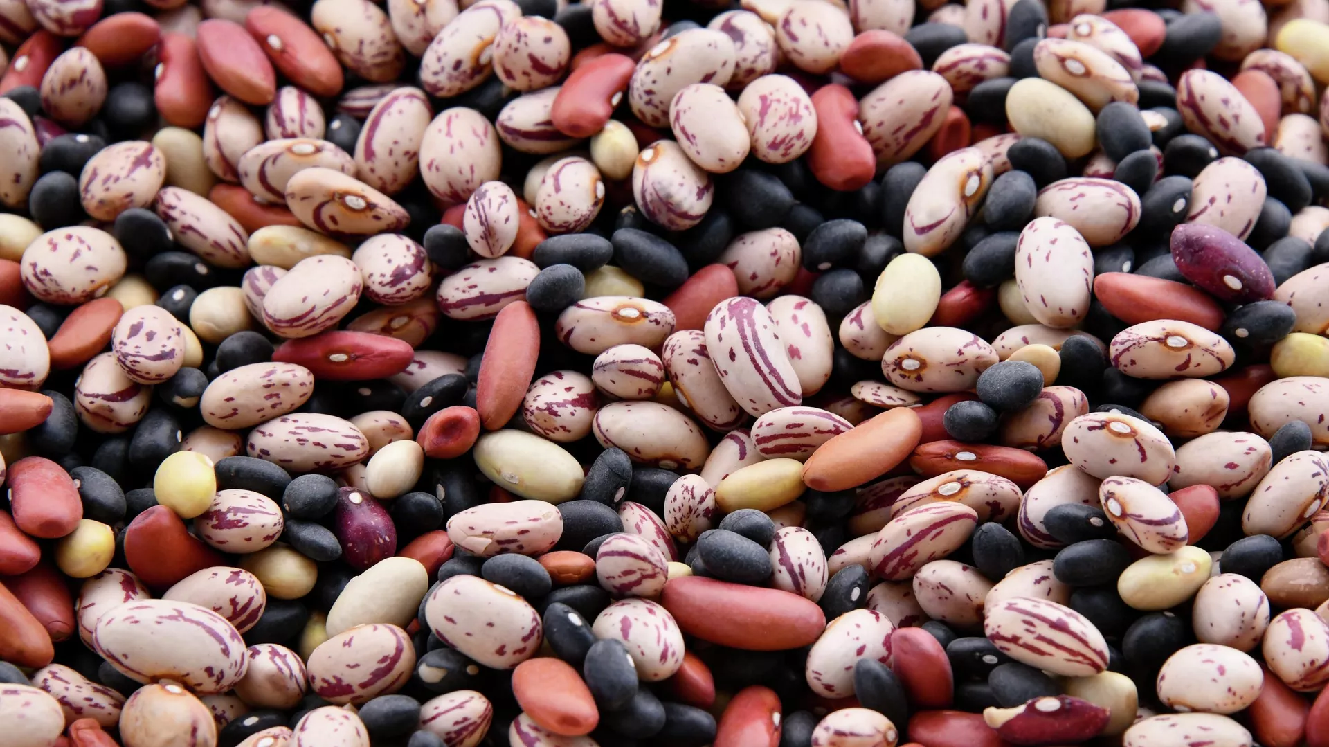 Unos frijoles Unos frijoles