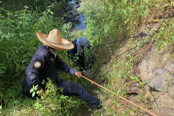 Con la colaboración de personal de Protección civil de Morelos, Comisión Nacional de Búsqueda y Guardia Nacional, los brigadistas descendieron cinco metros con cuerdas por una pendiente, para llegar al lecho del río Cuautla, dónde se encontraba el punto de búsqueda. - Sputnik Mundo