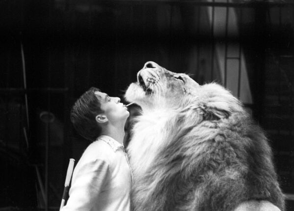 Los moscovitas siempre sintieron un amor especial por el circo, y los artistas que actuaban en él fueron la razón. Entre ellos figuraba uno de los más amados del país, Yuri Nikulin. Sin embargo, este circo nació mucho antes de que el intérprete naciera, y sus orígenes se remontan a un hombre italiano llamado Albert Solomonski. El circo llevó su nombre de 1880 a 1913.En la foto: el adiestrador Borís Denísov durante un ensayo (1970). - Sputnik Mundo