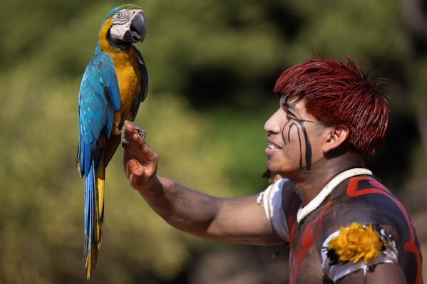 Estuvo dedicado al jefe yawalapiti, el cacique Aritana, uno de los líderes indígenas más respetados de Brasil. Murió en julio por complicaciones a raíz del COVID-19.En la foto: un hombre con guacamayo ara en el ritual kuarup del Parque Nacional Indígena de Xingu, en Brasil. - Sputnik Mundo