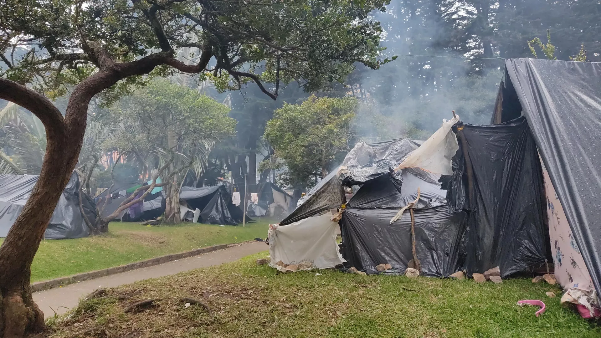 Situación en el Parque Nacional de Bogotá Situación en el Parque Nacional de Bogotá - Sputnik Mundo, 1920, 22.10.2021