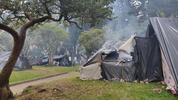 Situación en el Parque Nacional de Bogotá - Sputnik Mundo