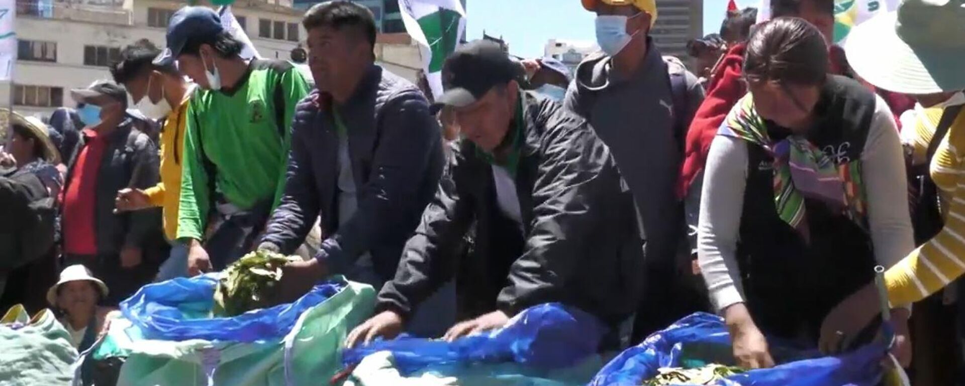 Cientos de cocaleros bolivianos se reúnen para romper el récord mundial de mascado de coca Cientos de cocaleros bolivianos se reúnen para romper el récord mundial de mascado de coca - Sputnik Mundo, 1920, 24.10.2021