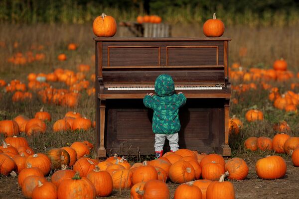 Las granjas del Reino Unido se han teñido de distintos tonos naranja a lo largo de sus campos debido a la temporada de calabazas. En la foto: un niño toca el piano en medio de un campo de calabazas denominado Pop Up Farm, en el pueblo de Flamstead, cerca de St Albans (Hertfordshire). - Sputnik Mundo