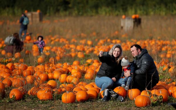 Los británicos prefieren comprar calabazas para Halloween en las granjas y no en los supermercados, ya que muchas granjas ofrecen a sus visitantes la posibilidad de recogerlas ellos mismos. - Sputnik Mundo