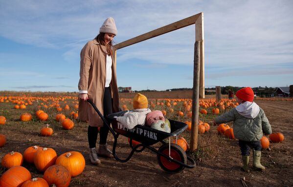 Los británicos suelen acudir a las granjas para recoger calabazas con sus hijos como una manera de pasar tiempo al aire libre y admirar el paisaje rural. - Sputnik Mundo