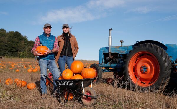 La tradición de Halloween se remonta a los antiguos festivales celtas de Irlanda y Escocia, pero hoy se ha convertido en una fiesta internacional. En la foto: los británicos recogen calabazas en Pop Up Farm. - Sputnik Mundo